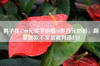 男子花1700元买下价值70多万元奶粉，商家退款不发货被判违约！