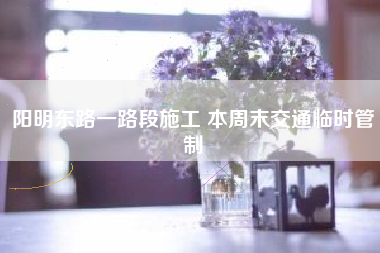 阳明东路一路段施工 本周末交通临时管制