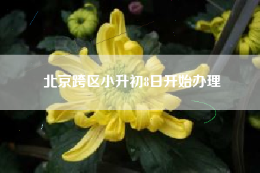 北京跨区小升初8日开始办理