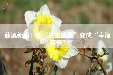 慈溪新浦：把“民生愿景”变成“幸福实景”