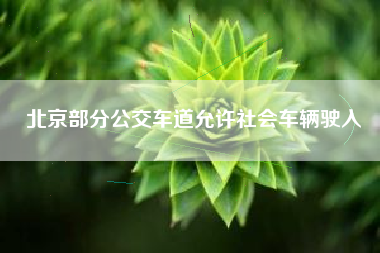 北京部分公交车道允许社会车辆驶入