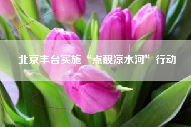 北京丰台实施“点靓凉水河”行动
