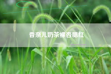 香奈儿奶茶裸杏腮红