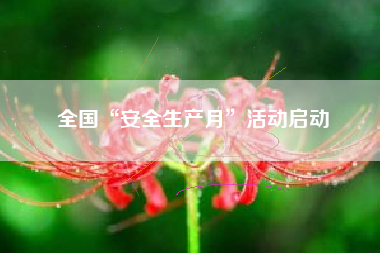 全国“安全生产月”活动启动