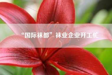 “国际袜都”袜业企业开工忙