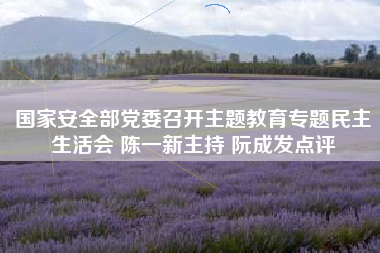 国家安全部党委召开主题教育专题民主生活会 陈一新主持 阮成发点评