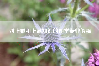 对上乘和上品知识的理学专业解释