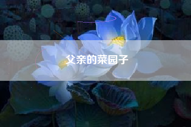 父亲的菜园子