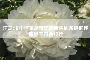 注意!汉中这家胡辣汤店所售油条铝的残留量不符合规定