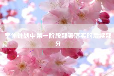 整体计划中第一阶段部署落实的后续部分