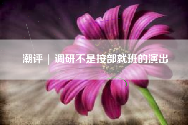 潮评 | 调研不是按部就班的演出