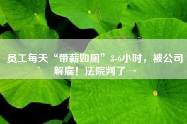 员工每天“带薪如厕”3-6小时，被公司解雇！法院判了→