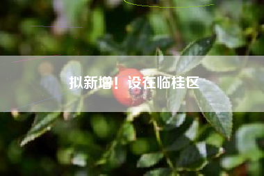 拟新增！设在临桂区