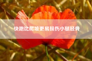 快跑比爬坡更易损伤小腿胫骨