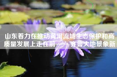 山东着力在推动黄河流域生态保护和高质量发展上走在前—— 齐鲁大地景象新
