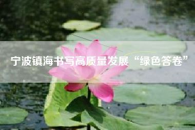 宁波镇海书写高质量发展“绿色答卷”