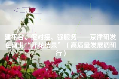 建平台、促对接、强服务——京津研发在河北“开花结果”（高质量发展调研行）