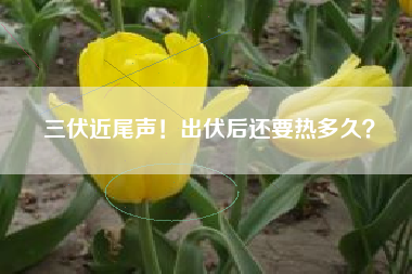 三伏近尾声！出伏后还要热多久？