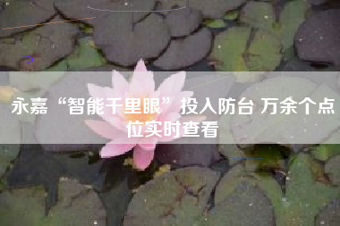 永嘉“智能千里眼”投入防台 万余个点位实时查看