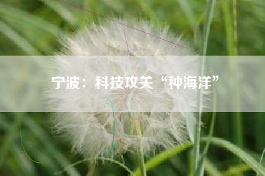 宁波：科技攻关“种海洋”