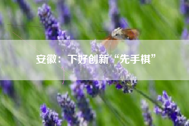 安徽：下好创新“先手棋”