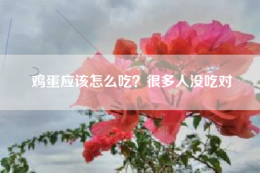 鸡蛋应该怎么吃？很多人没吃对