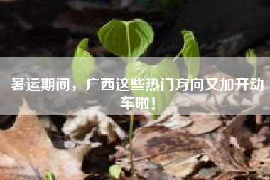 暑运期间，广西这些热门方向又加开动车啦！