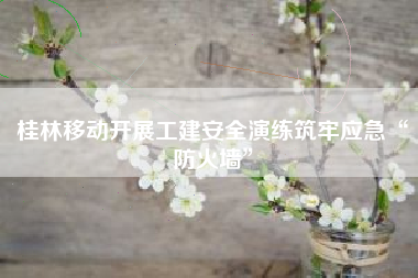 桂林移动开展工建安全演练筑牢应急“防火墙”