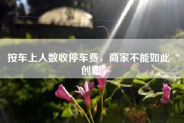 按车上人数收停车费，商家不能如此“创新”