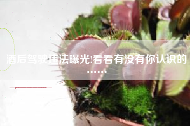 酒后驾驶违法曝光!看看有没有你认识的……