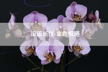 滚滚长江 金色航道