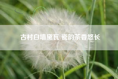 古村白墙黛瓦 瓷韵茶香悠长