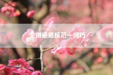 全国道德模范—何巧
