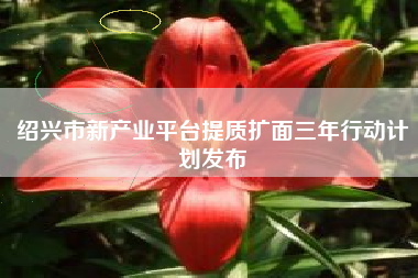 绍兴市新产业平台提质扩面三年行动计划发布