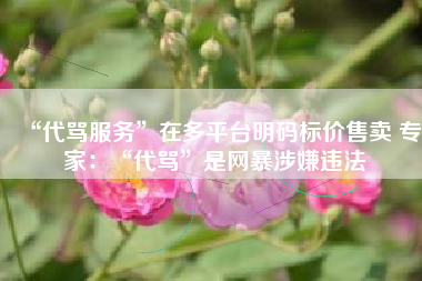 “代骂服务”在多平台明码标价售卖 专家：“代骂”是网暴涉嫌违法