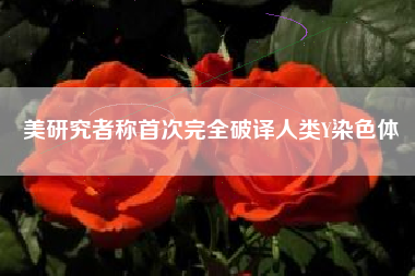 美研究者称首次完全破译人类Y染色体