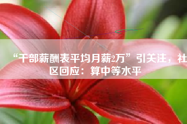 “干部薪酬表平均月薪2万”引关注，社区回应：算中等水平