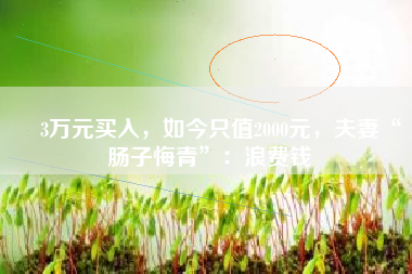 ​3万元买入，如今只值2000元，夫妻“肠子悔青”：浪费钱