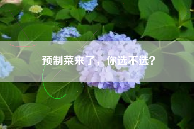 预制菜来了，你选不选？