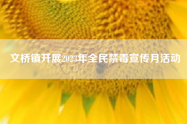 文桥镇开展2023年全民禁毒宣传月活动