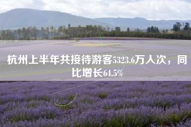 杭州上半年共接待游客5323.6万人次，同比增长64.5%
