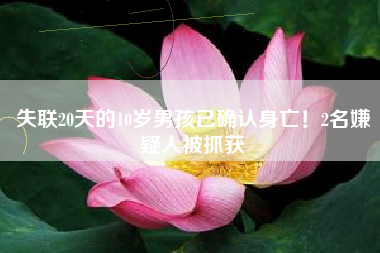 失联20天的10岁男孩已确认身亡！2名嫌疑人被抓获