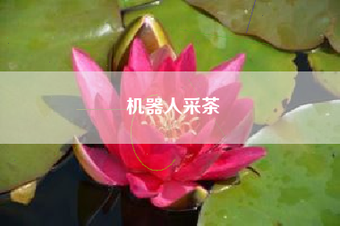 机器人采茶