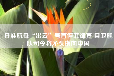 日准航母“出云”号首停菲律宾 自卫舰队司令将矛头指向中国