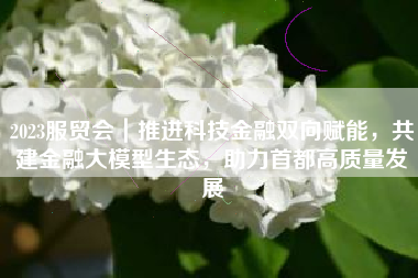2023服贸会｜推进科技金融双向赋能，共建金融大模型生态，助力首都高质量发展