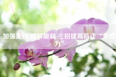 加强支持 缓解脆弱 三招提高防诈“免疫力”