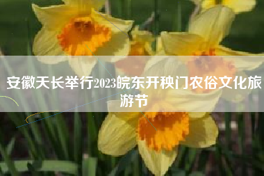 安徽天长举行2023皖东开秧门农俗文化旅游节