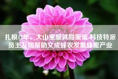 扎根17年，大山里酿就甜蜜蜜 科技特派员王友明帮助文成蜂农发展蜂蜜产业