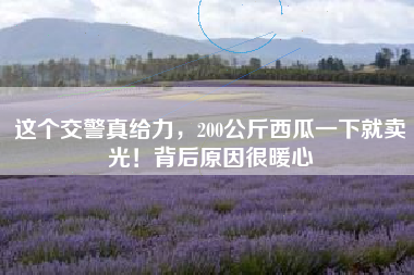 这个交警真给力，200公斤西瓜一下就卖光！背后原因很暖心