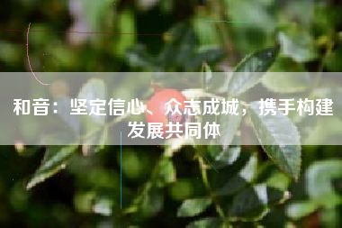 和音：坚定信心、众志成城，携手构建发展共同体